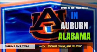 Bounce into Fun: Auburn, Alabama's Top Moonwalk Rentals