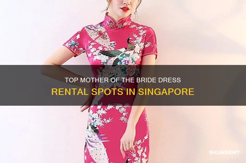 where to rent mother of the bride dresses singapore