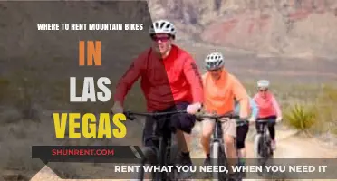 Top Las Vegas Mountain Bike Rental Shops for Adventure Seekers