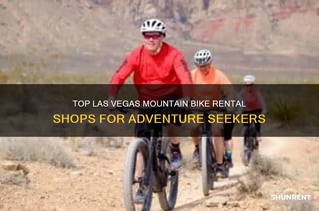 where to rent mountain bikes in las vegas