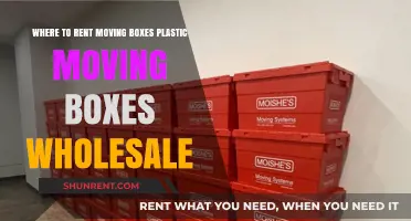 Rent or Buy: Where to Find Plastic Moving Boxes Wholesale