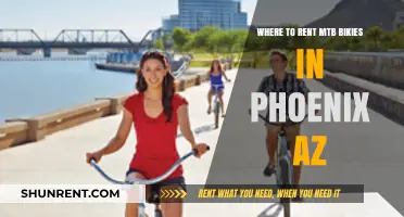 Top Phoenix AZ Spots for Renting Mountain Bikes and Gear