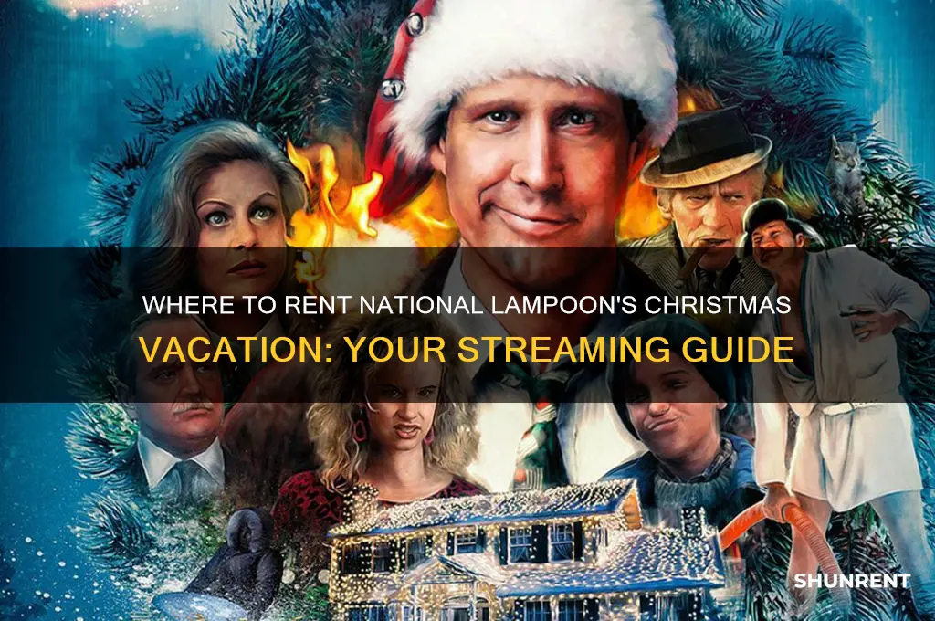 where to rent national lampoon
