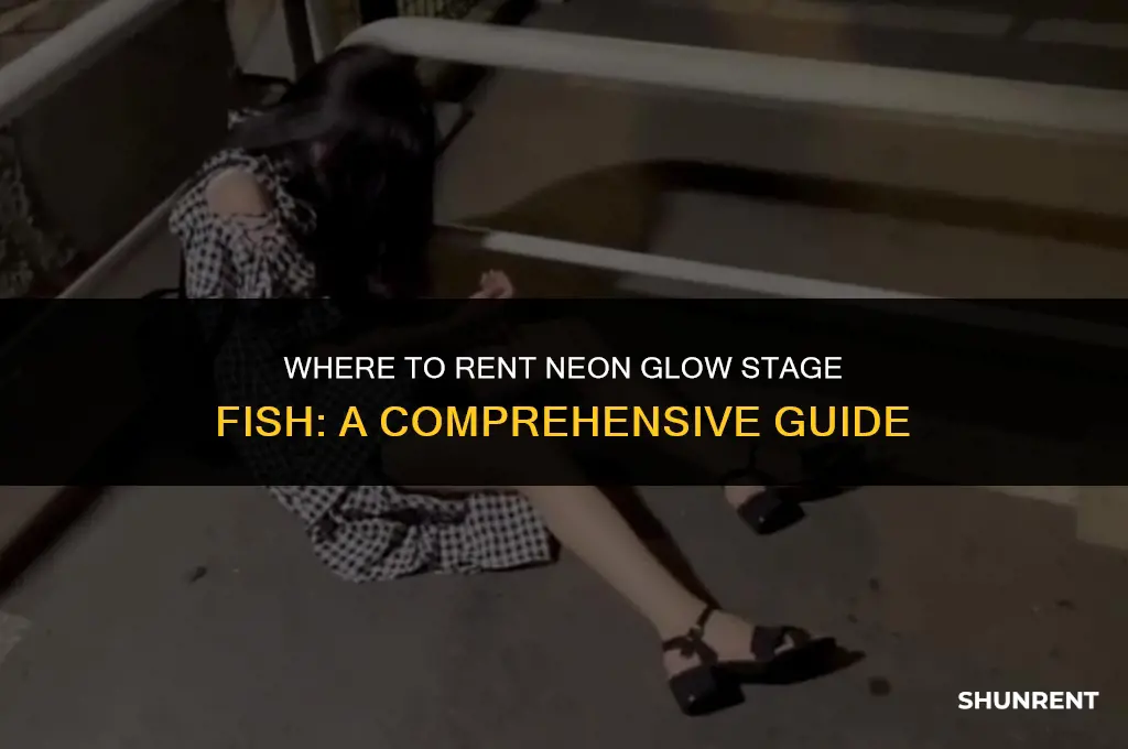 where to rent neon glow stage fish