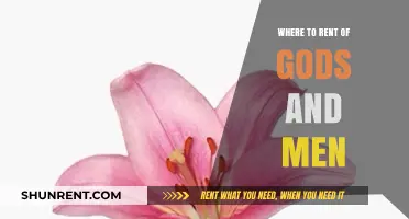 Exploring Divinity: A Guide to Renting 'Of Gods and Men
