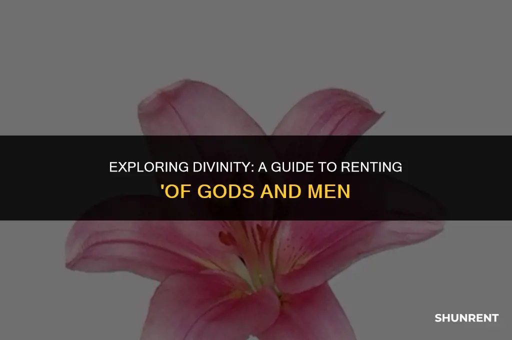 where to rent of gods and men