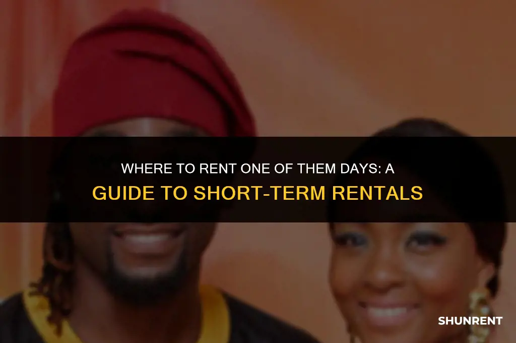 where to rent one of them days