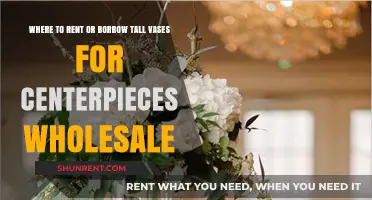 Wholesale Tall Vase Rentals: Where to Borrow Centerpiece Vases