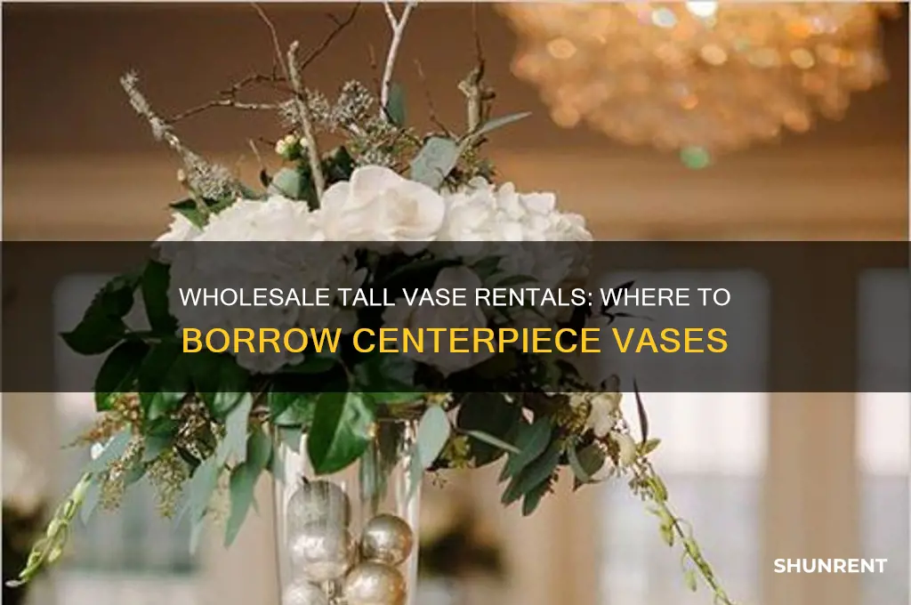 where to rent or borrow tall vases for centerpieces wholesale