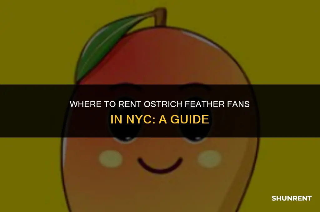where to rent ostrich feather fans nyc