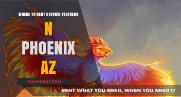 Rent Ostrich Feathers in Phoenix, AZ: Top Local Sources