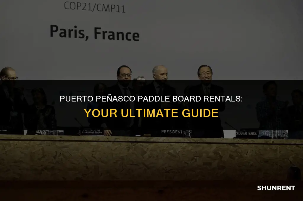 where to rent paddle board puerto penasco