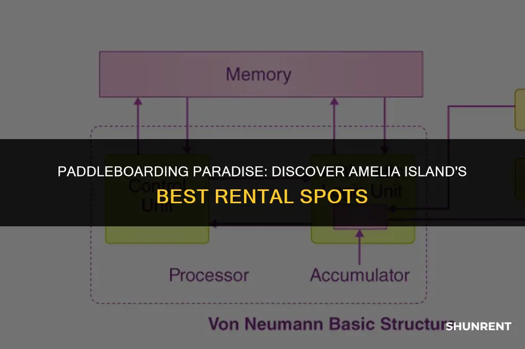 where to rent paddle boards amelia island