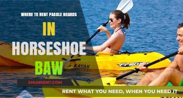 Top Paddle Board Rental Spots in Horseshoe Bay: Your Ultimate Guide