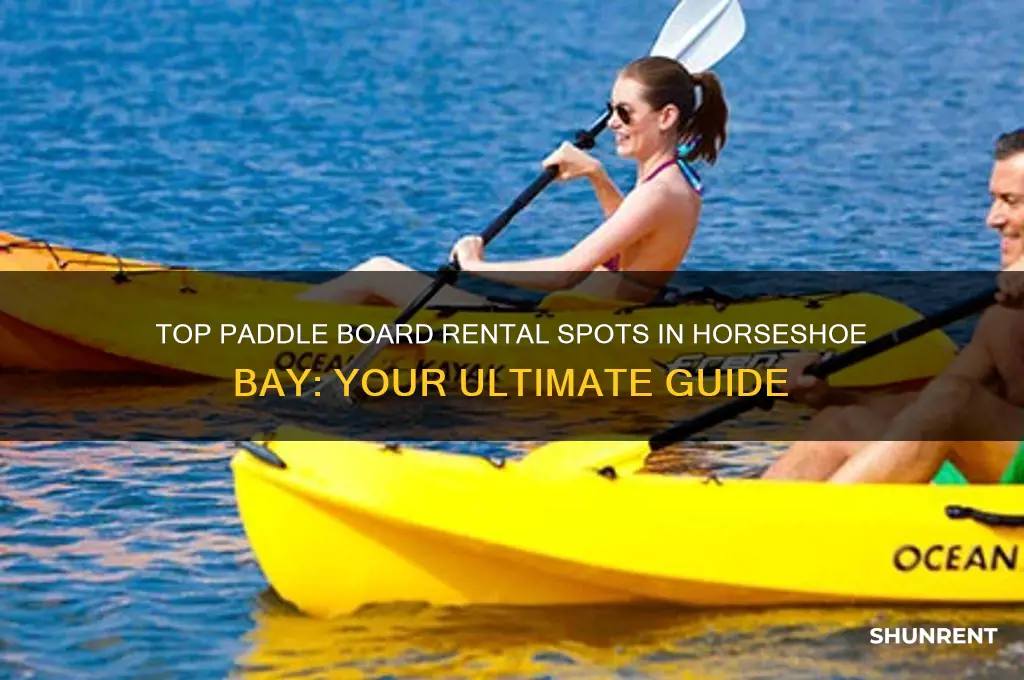 where to rent paddle boards in horseshoe baw