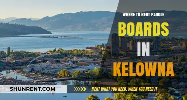 Discover Kelowna's Best Paddle Board Rentals: A Comprehensive Guide