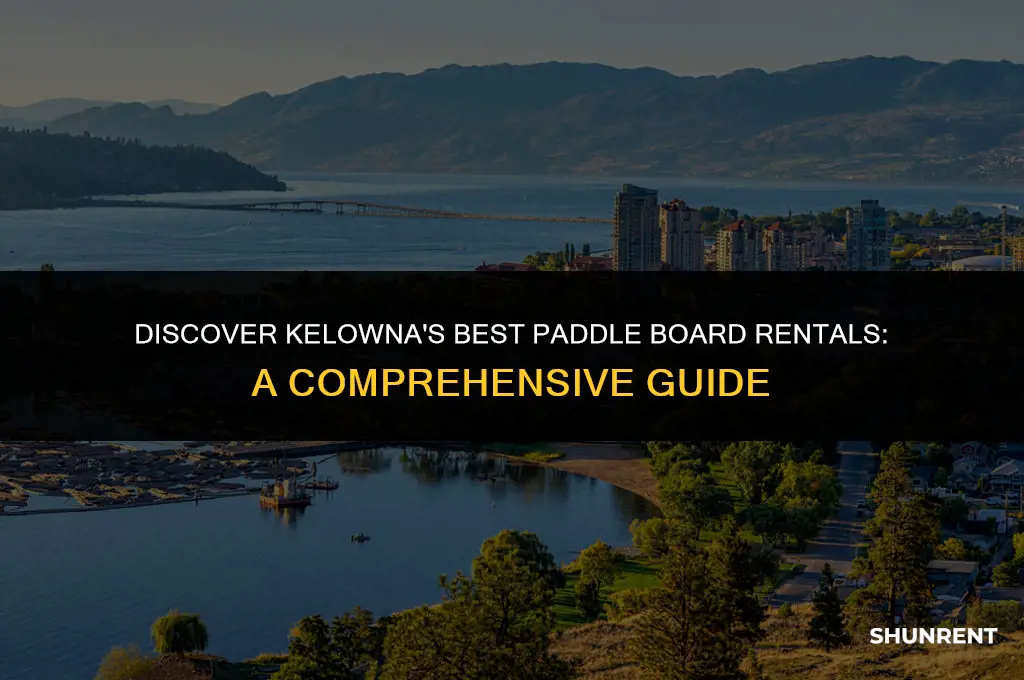 where to rent paddle boards in kelowna