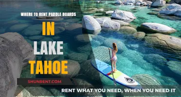 Top Paddle Board Rental Spots in Lake Tahoe for Adventure Seekers