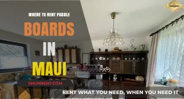 Discover Maui's Best Paddle Board Rental Spots: A Comprehensive Guide