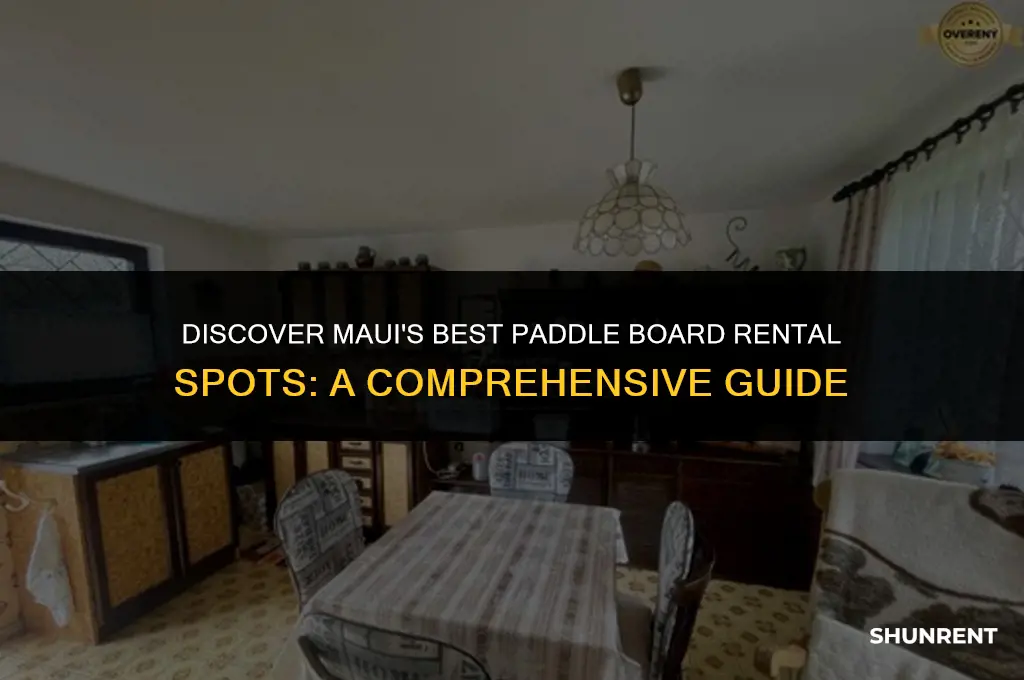 where to rent paddle boards in maui
