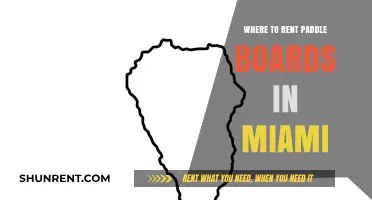 Discover Miami's Best Paddle Board Rental Spots: A Local's Guide