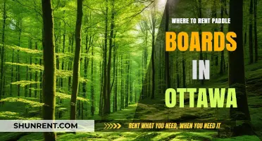 Explore Ottawa's Waterways: Top Spots for Paddle Board Rentals