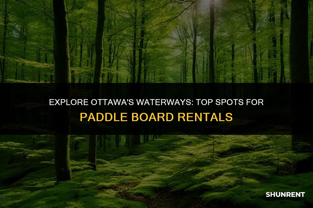 where to rent paddle boards in ottawa