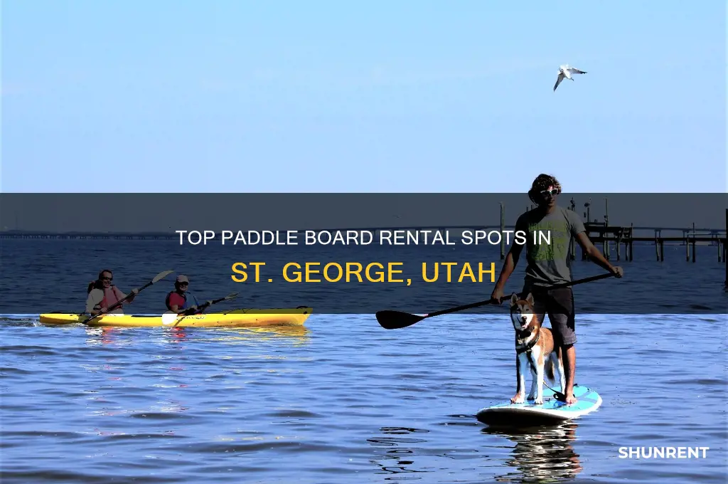 where to rent paddle boards in st george