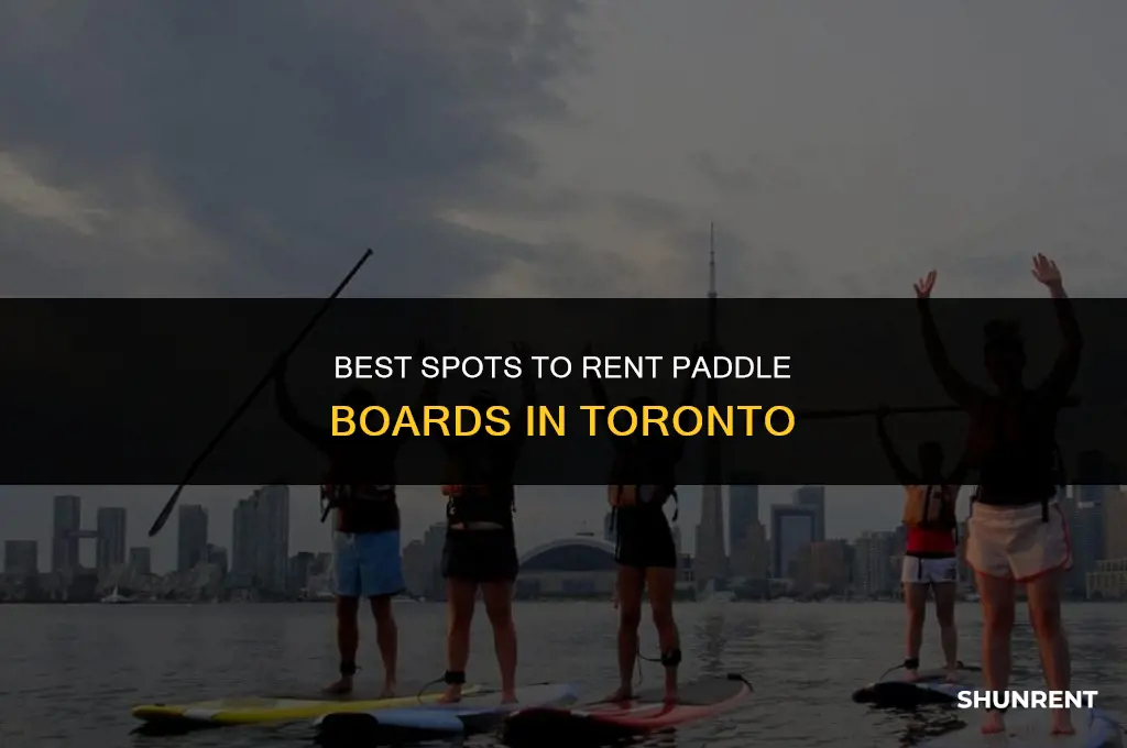 where to rent paddle boards in toronto