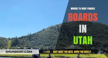 Utah's Best Spots for Paddle Board Rentals: A Comprehensive Guide