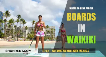 Discover the Best Spots to Rent Paddle Boards in Waikiki