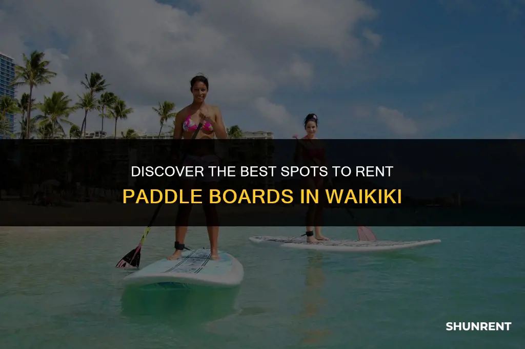 where to rent paddle boards in waikiki