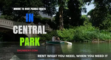 Best Spots to Rent Paddle Boats in Central Park NYC