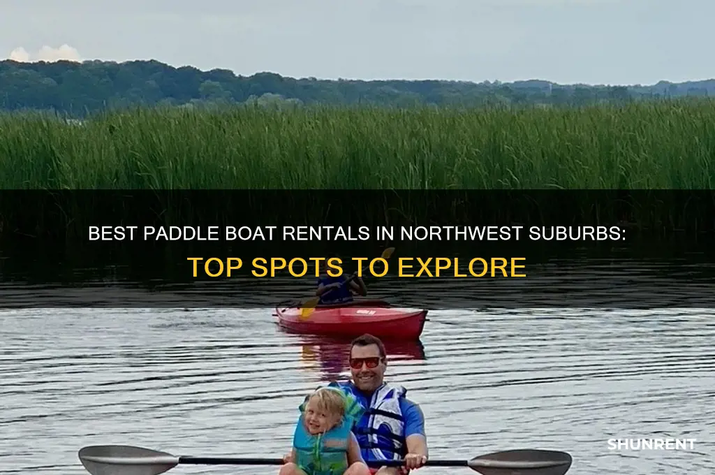 where to rent paddle boats in the northwest suburbs