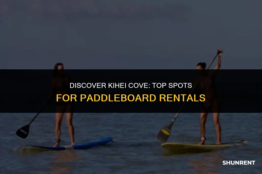 where to rent paddleboards in kihea cove