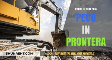 Discover the Best Spots to Rent Peco Peco in Prontera: A Comprehensive Guide