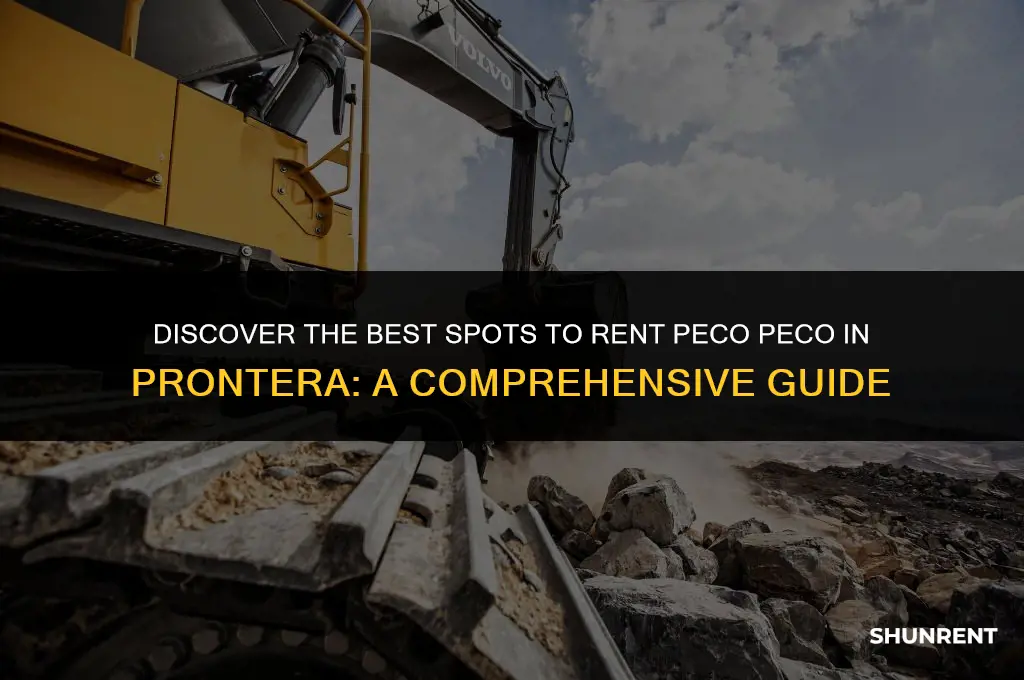where to rent peco peco in prontera