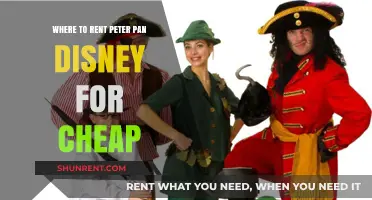 Affordable Peter Pan Disney Rentals: Top Budget-Friendly Options