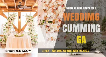 Rent Stunning Wedding Plants in Cumming, GA: Top Local Options