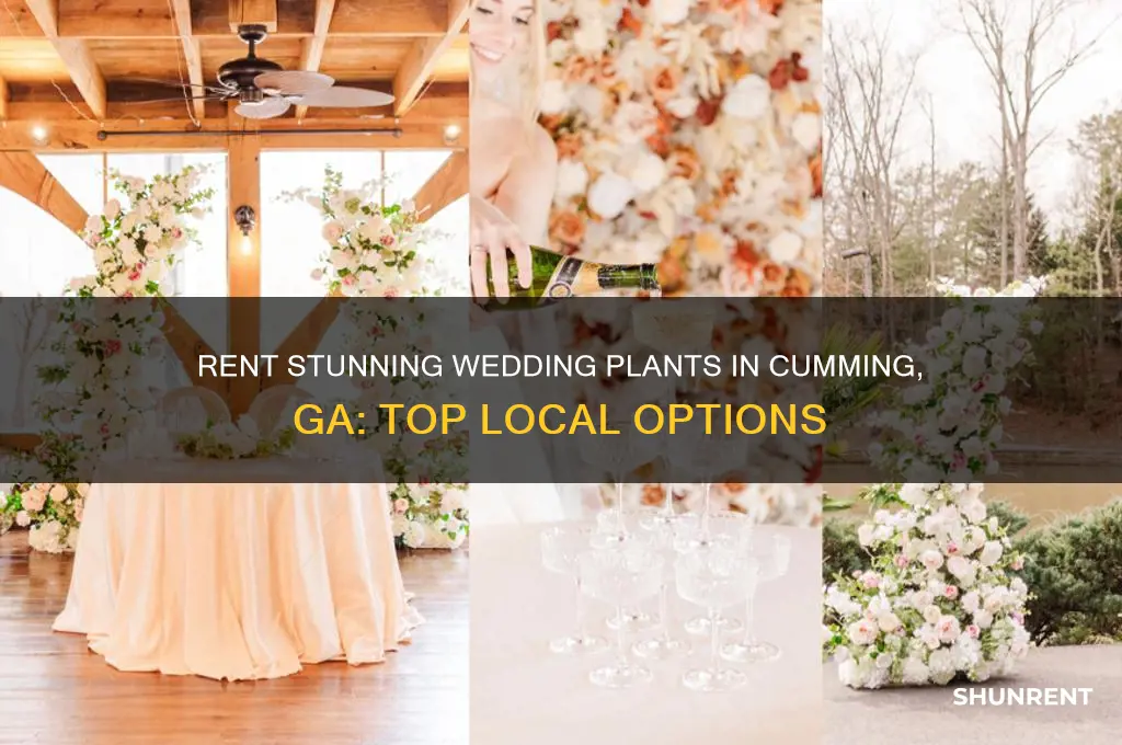 where to rent plants for a weddimg cumming ga