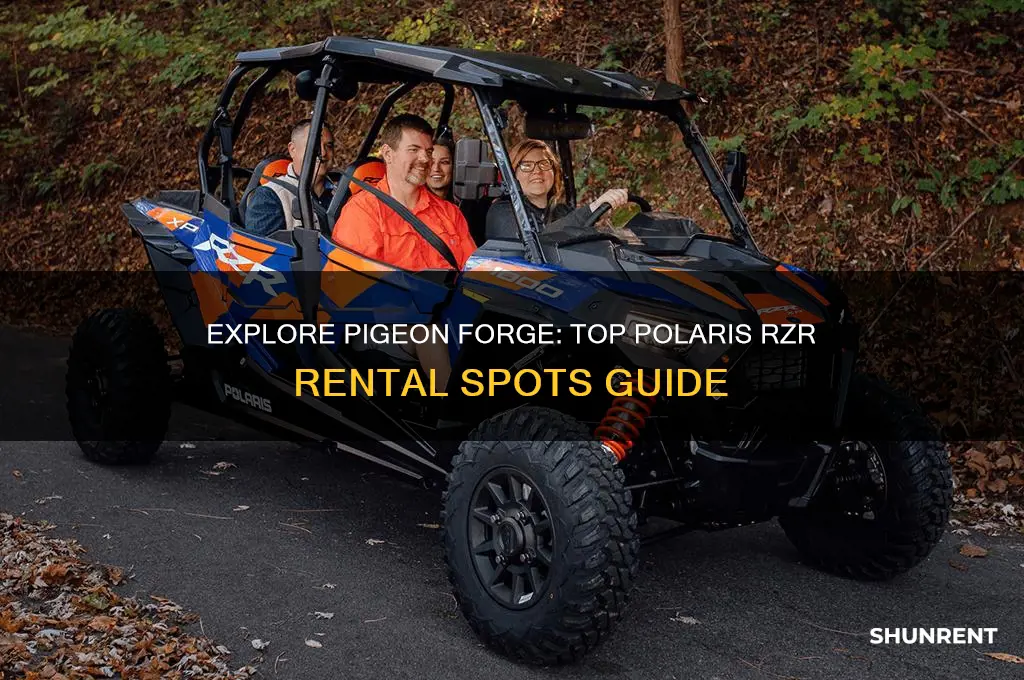 where to rent polaris rzr in pigeon forge tn