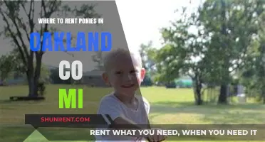 Discover Top Pony Rental Spots in Oakland County, MI