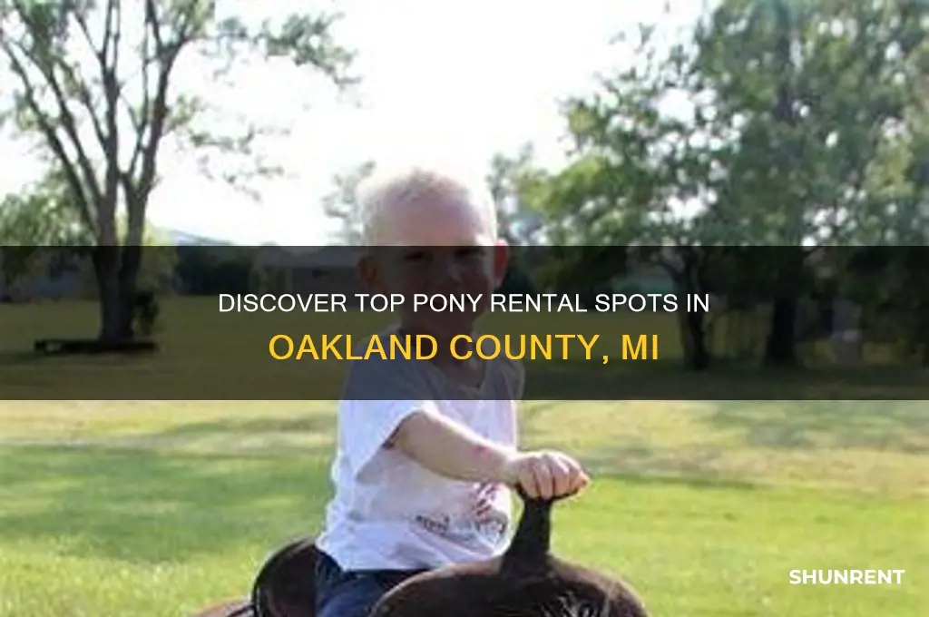 where to rent ponies in oakland co mi