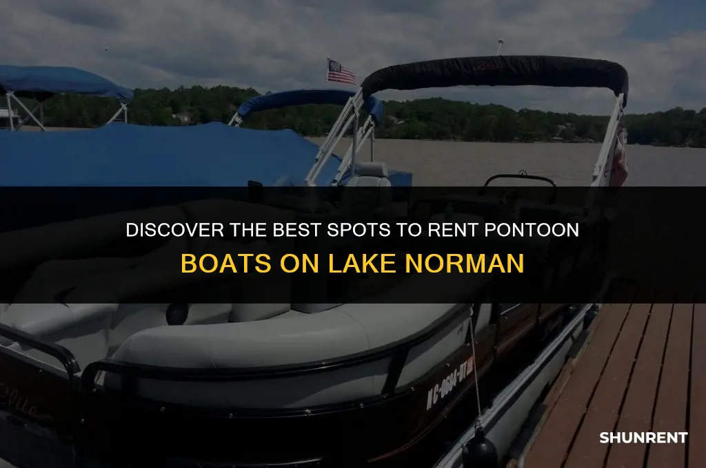 where to rent pontoon boat lake norman