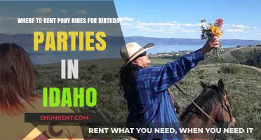 Idaho Pony Ride Rentals: Perfect Birthday Party Fun for Kids
