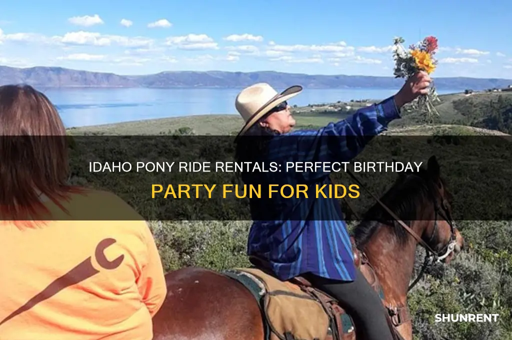 where to rent pony rides for birthday parties in idaho