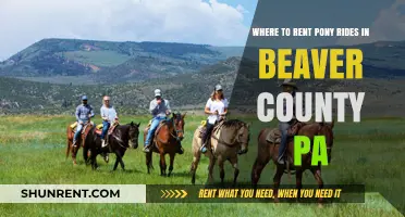 Pony Rides in Beaver County, PA: Top Rental Options