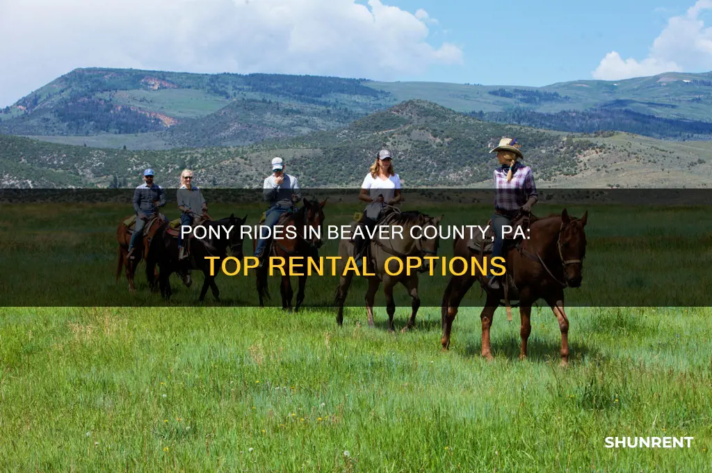 where to rent pony rides in beaver county pa
