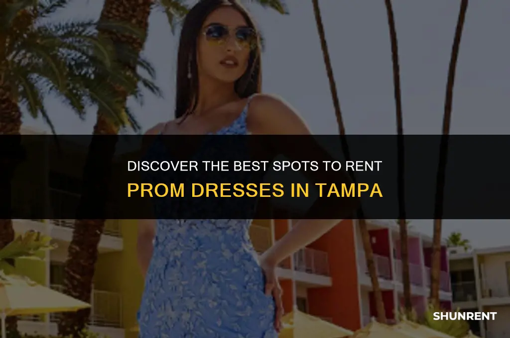 where to rent prom dresses in tampa