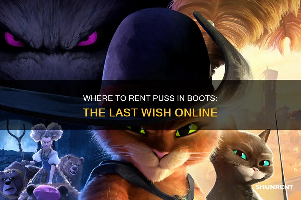 where to rent puss and boots the last wish